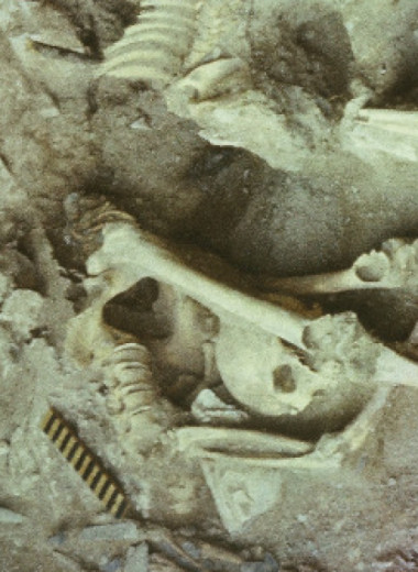 На Алтае обнаружили ранее неизвестную популяцию среднего голоцена