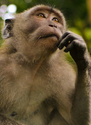 Как ИИ разрушает мышление людей? Узнайте интересный ответ!