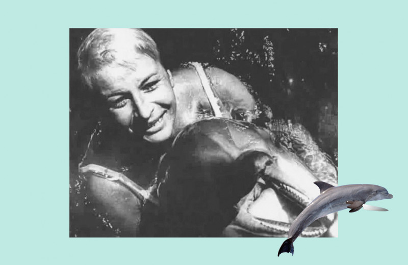 Девушка, которая обучала дельфинов-убийц: история советской каскадерки Галины Шуреповой