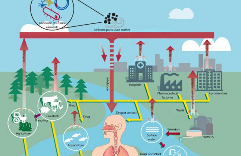 Повышение устойчивости к антибиотикам связали с загрязнением воздуха