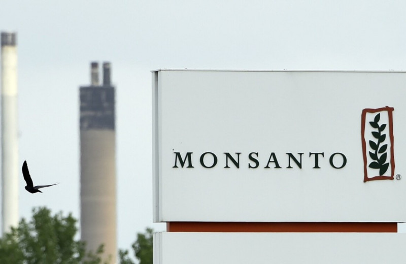 Разрабатывала атомную бомбу, распространила ГМО и возместила сотни миллионов долларов за вред здоровью: история Monsanto
