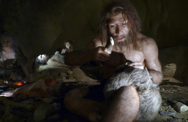 Из жизни предков: секс с неандертальцами полезен