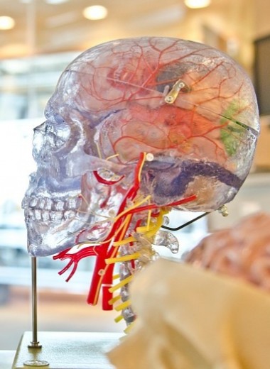 Кислородное голодание мозга: симптомы и лечение