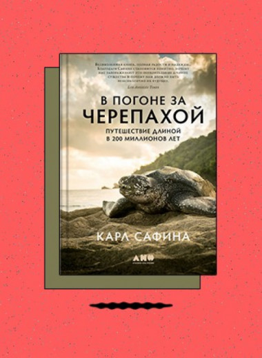 «В погоне за черепахой: Путешествие длиной в 200 миллионов лет»
