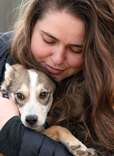 «Это проблема всего общества»: директор фонда «Ника» о помощи бездомным животным