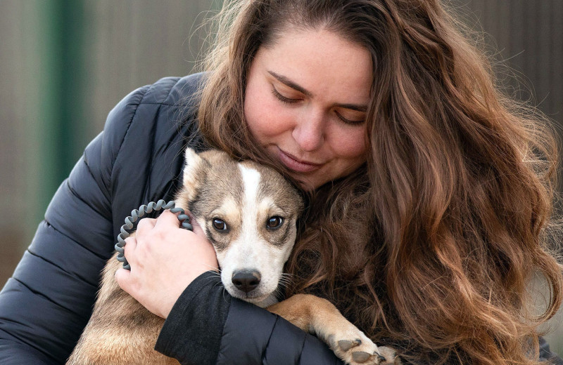 «Это проблема всего общества»: директор фонда «Ника» о помощи бездомным животным