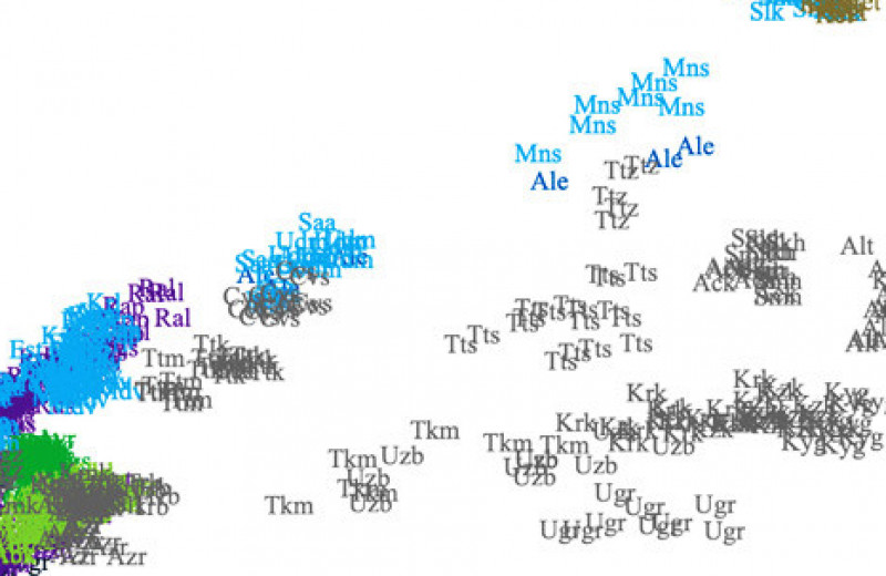 Лингвисты назвали Северо-Восточный Китай прародиной трансевразийских языков