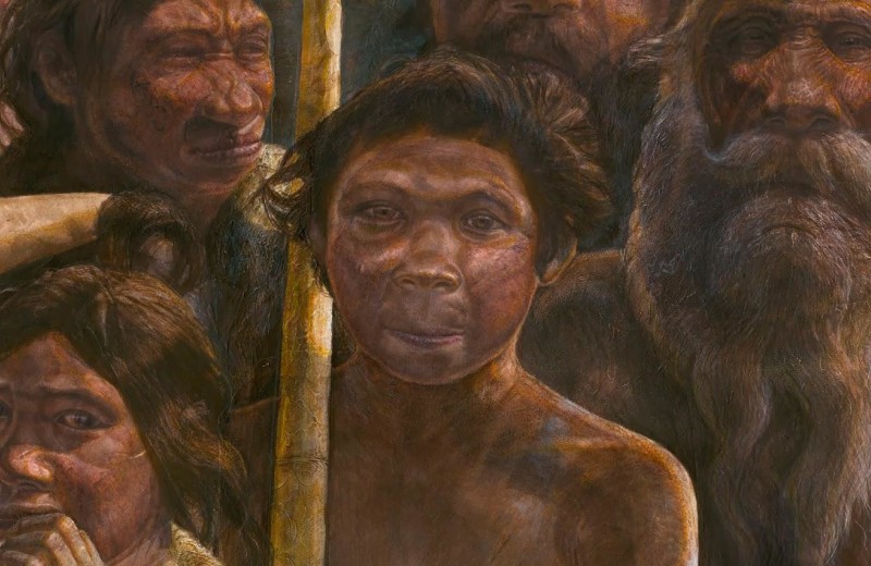 Чем денисовский человек отличается от Homo sapiens?