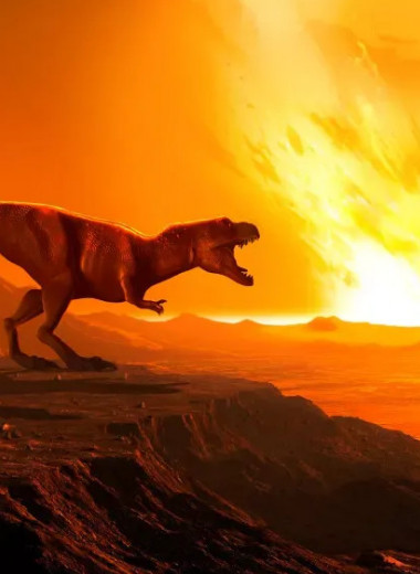 Правда ли, что астероид-убийца динозавров вызвал на Земле тысячелетнюю вулканическую зиму?