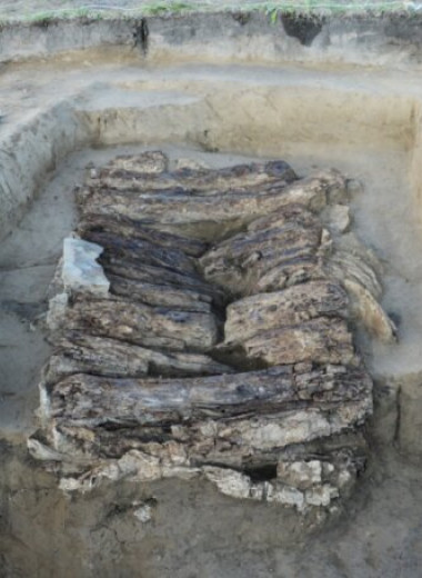 Археологи обнаружили в могиле таштыкской культуры свидетельства древней эксгумации
