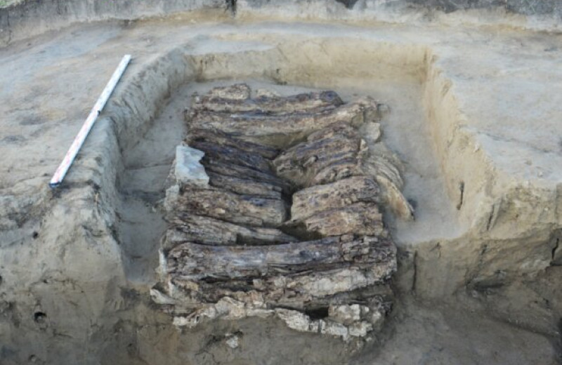 Археологи обнаружили в могиле таштыкской культуры свидетельства древней эксгумации
