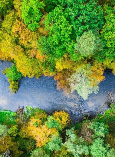 Повышение температуры разрушает речные экосистемы