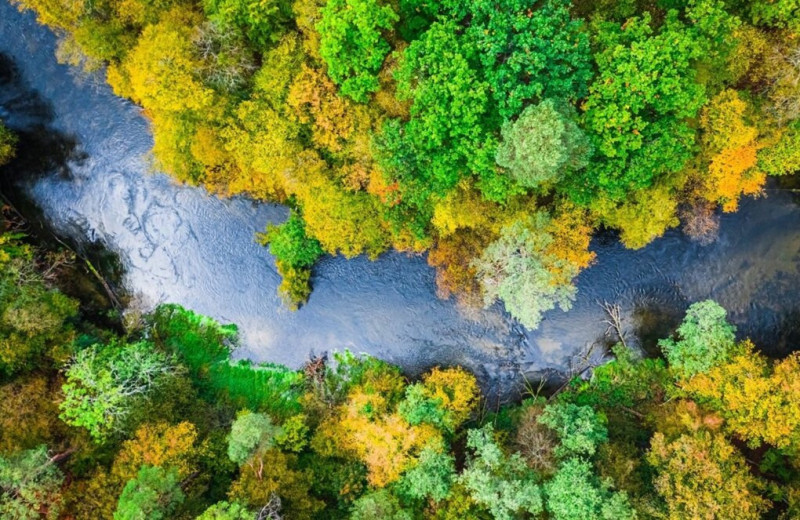 Повышение температуры разрушает речные экосистемы