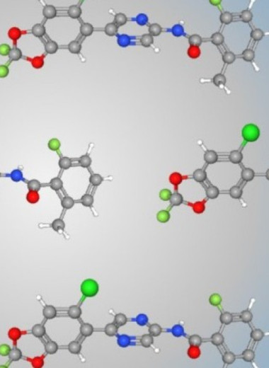 Зегокрактин облегчил течение острого панкреатита