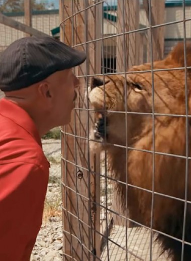 Эксперименты над людьми и издевательства над животными: документальные фильмы против новой реальности