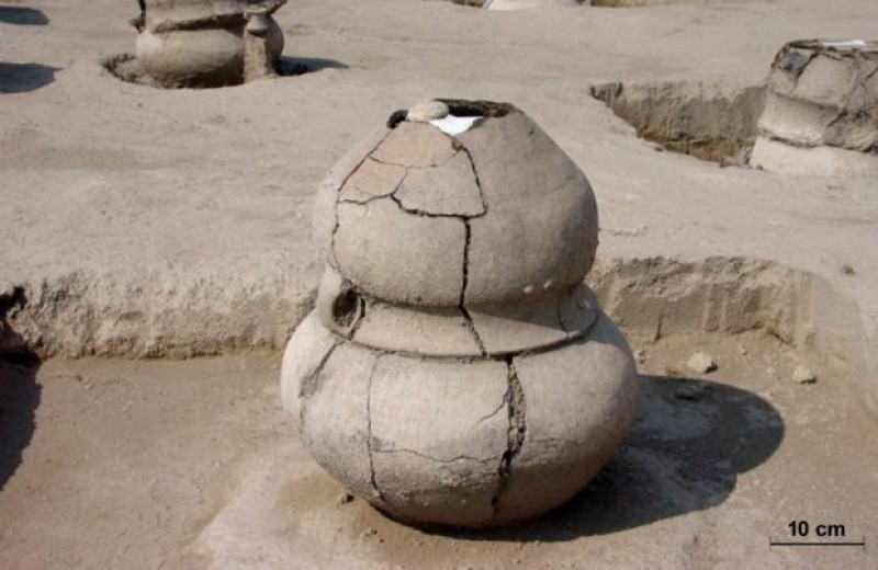 Археологи нашли кремированные останки беременной двойней женщины эпохи бронзы