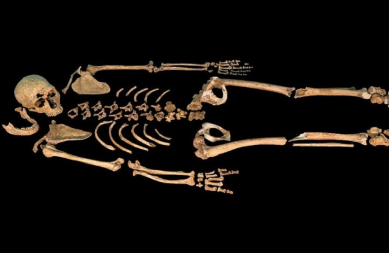 Археологи уточнили возраст трех неандертальских погребений из Ла-Ферраси