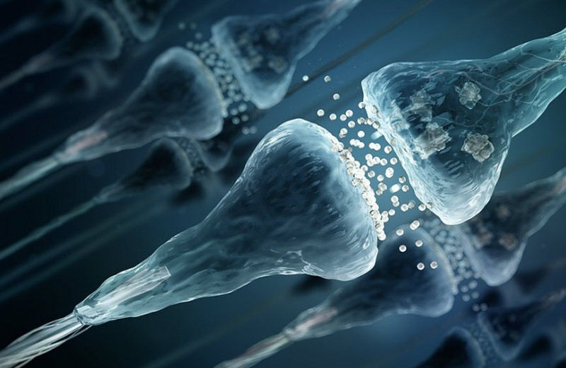 ИИ нового поколения сможет работать на искусственных нейронах