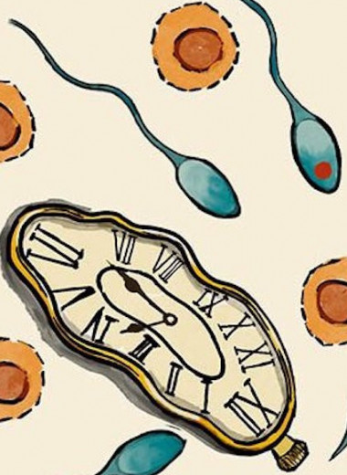 Сперматозоиды каждого 15-го мужчины содержат мутации, вызывающие врожденные заболевания у детей