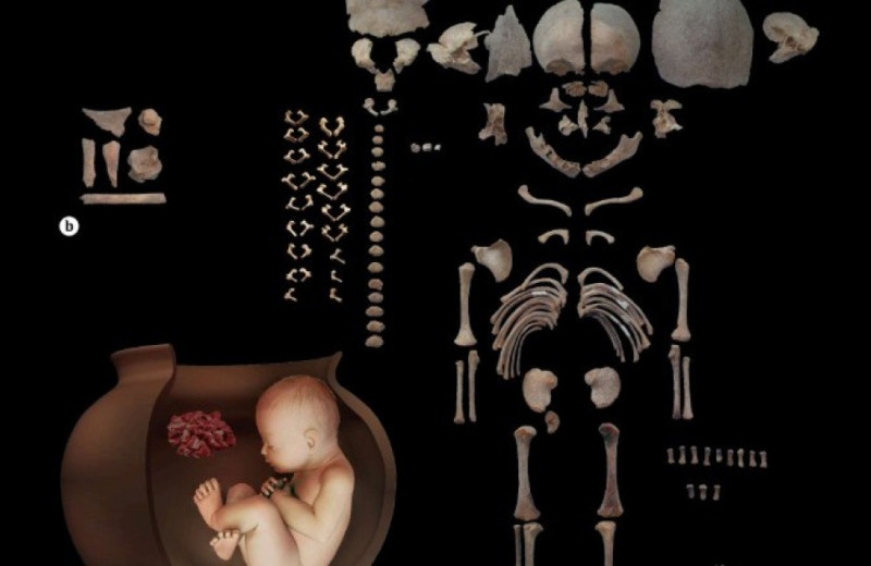 Малышей похоронили в керамических сосудах 6500 лет назад