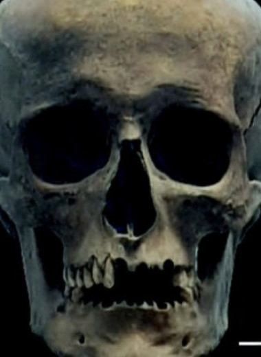 Знатный средневековый мужчина из Переславля-Залесского происходил из иноземных популяций