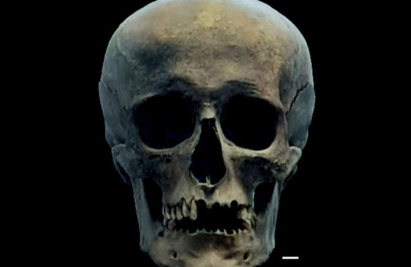 Знатный средневековый мужчина из Переславля-Залесского происходил из иноземных популяций