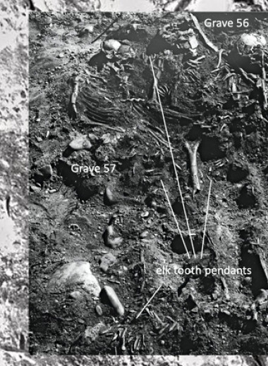 Появление Оленеостровского могильника связали с самым суровым голоценовым похолоданием
