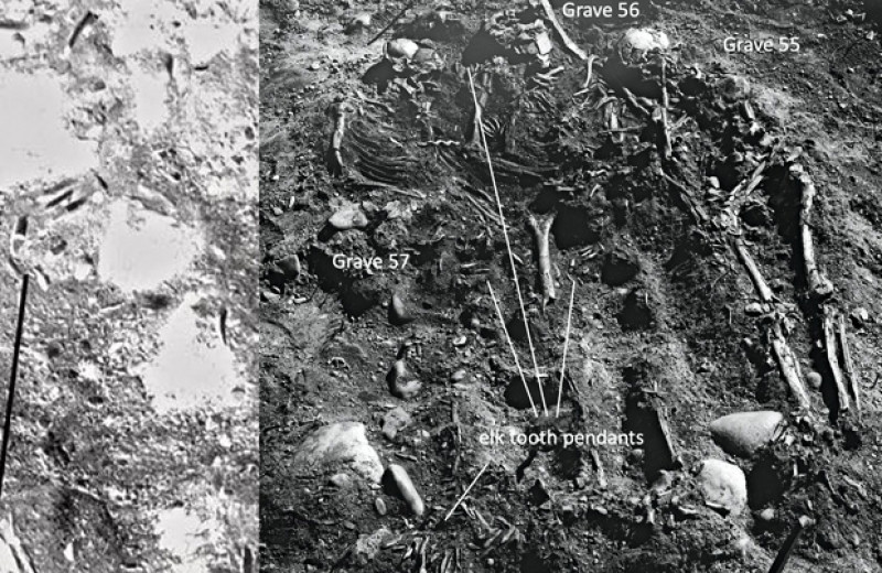 Появление Оленеостровского могильника связали с самым суровым голоценовым похолоданием
