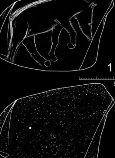 В Чехии нашли гальку с выгравированными в верхнем палеолите животными