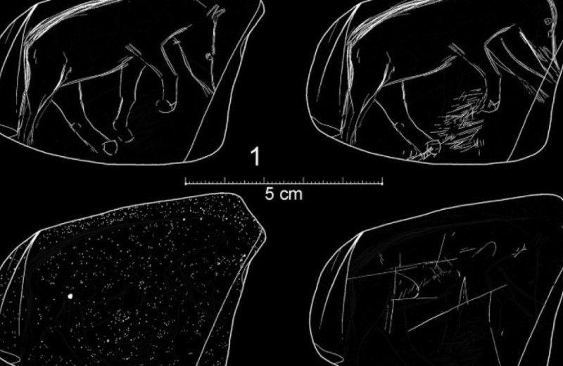 В Чехии нашли гальку с выгравированными в верхнем палеолите животными
