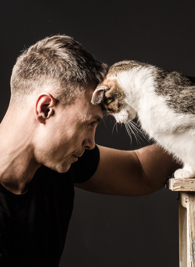 12 лайфхаков для счастливой жизни с котом