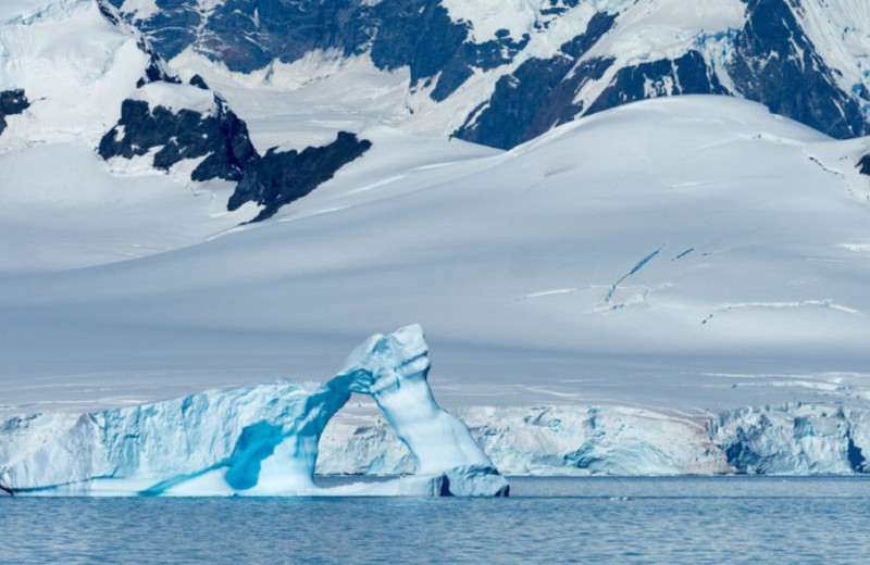 Антарктике ученые нашли «бактерию-супергероя»