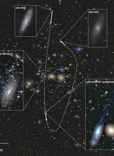 Межгалактическая плазма лишила ультрадиффузные галактики «топлива» для образования звезд