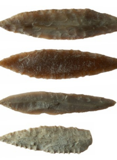 На наконечниках стрел эпохи неолита нашли остатки человеческого белка