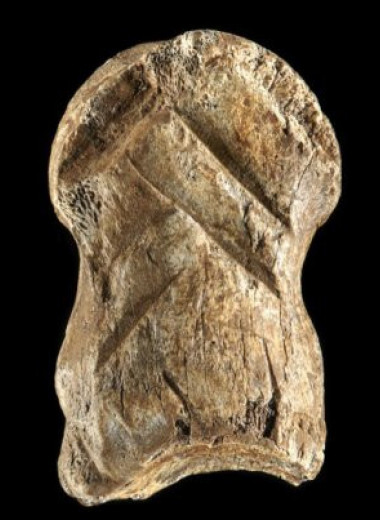 Неандертальцы изготовили костяное украшение более 51000 лет назад