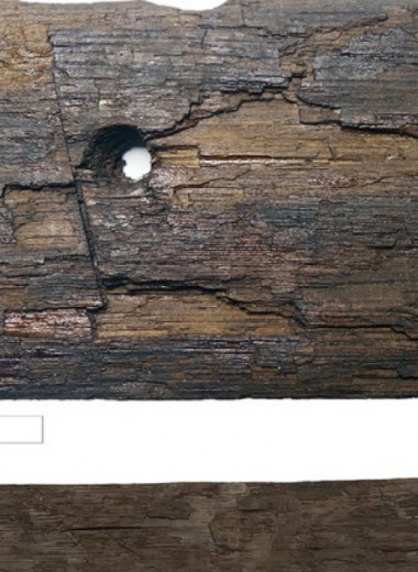 Средневековые гренландские скандинавы импортировали древесину с северо-востока Северной Америки