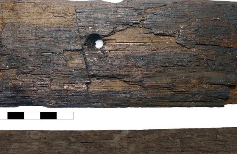Средневековые гренландские скандинавы импортировали древесину с северо-востока Северной Америки