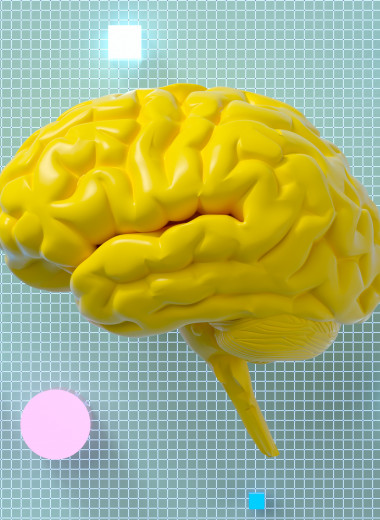 Можно ли восстановить мозг после инсульта и травмы? Интервью с ученым