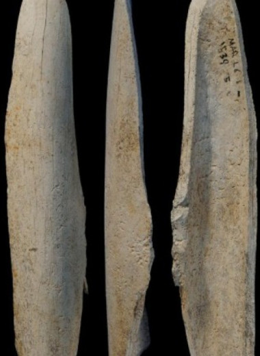 Неандертальцы освежевали туши обломком кости