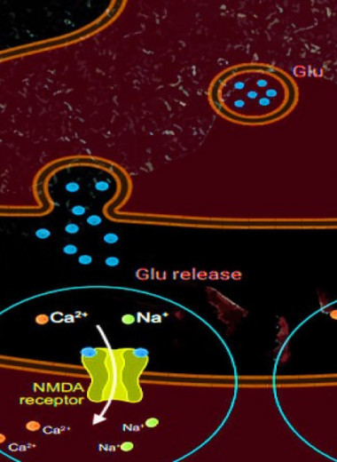 Метаанализ подтвердил быстрый эффект веселящего газа при депрессии