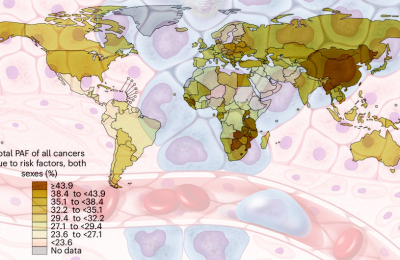 Ответственность за 4 из 10 случаев рака возложили на предотвратимые причины