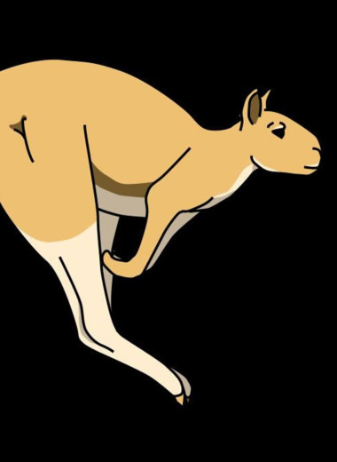 Гигантские древние кенгуру весом 250 умели прыгать