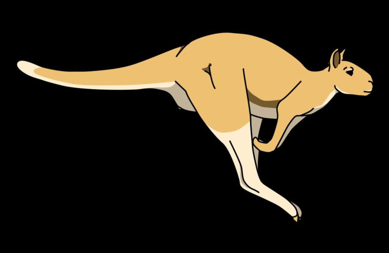Гигантские древние кенгуру весом 250 умели прыгать