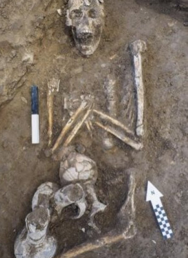В сосудах бронзового века из Израиля обнаружили остатки опиума