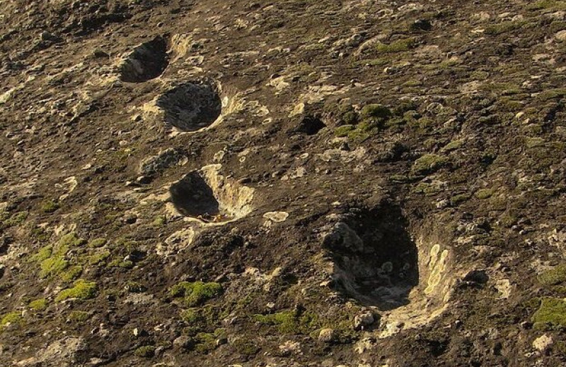 Неандертальцы забрались на вулкан почти сразу после его извержения. Об этом говорят обнаруженные следы