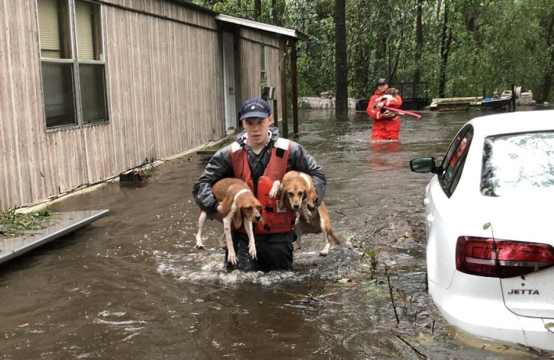 Как спасают животных во время урагана «Флоренс»: видео