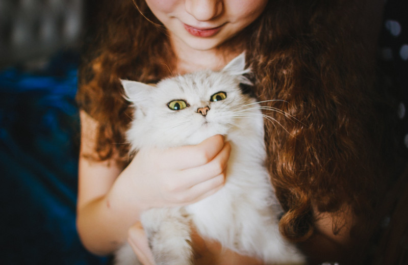 6 научно доказанных преимуществ быть владельцем кота