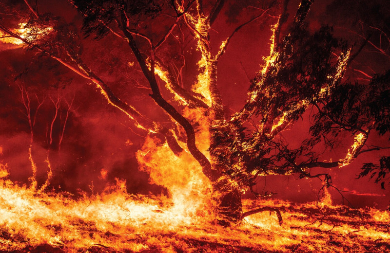 Как лесные пожары в Австралии влияют на климат Земли