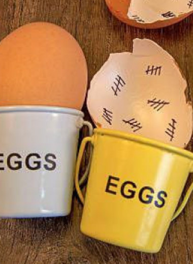 Разговоры о яйцах: какие лучше — C0, C1 или C2?