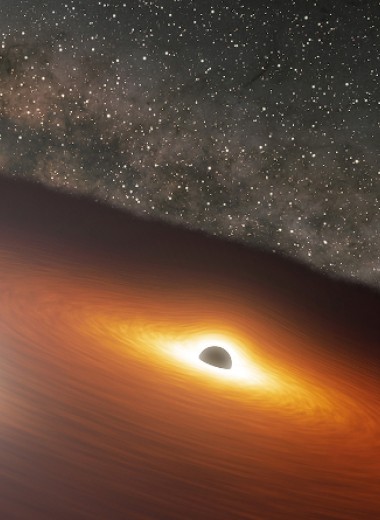 Астрономы смогли предсказать вспышку в далекой галактике с точностью до четырех часов